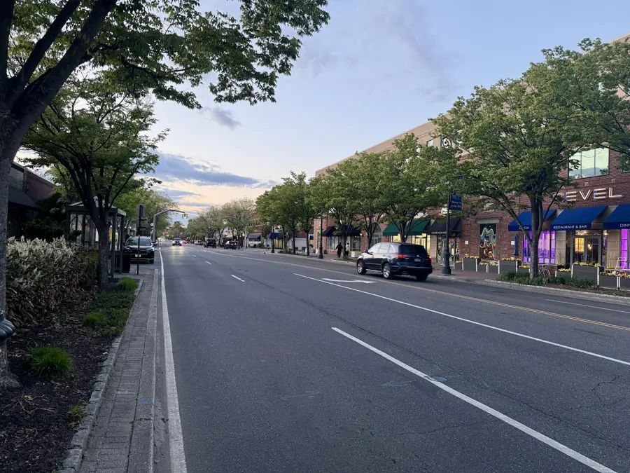 Shops on Franklin Avenue, Garden City