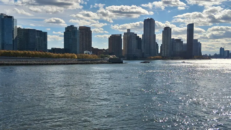 The Long Island City skyline in Queens